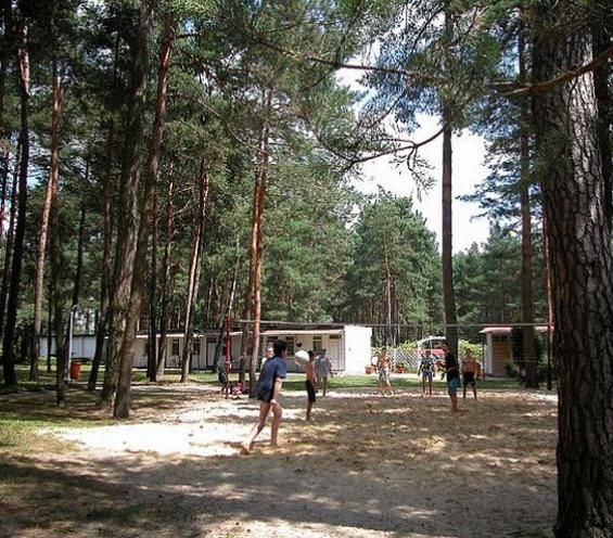 Курортные отели Centrum Szkolenia i Rekreacji Krasnobród Краснобруд-8